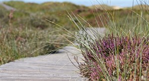 Vandringsdagar 22-24 maj