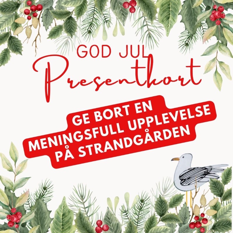 Köp presentkort - ge bort en meningsfull julklapp