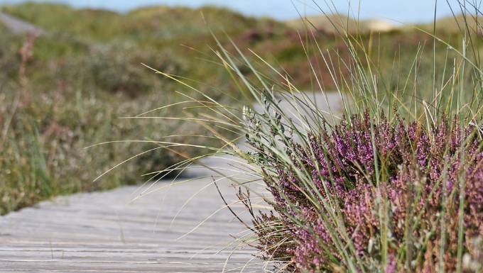 Vandringshelg, Strandgården Halmstad